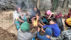 চুয়াডাঙ্গায় তীব্র শীত, সর্বনিম্ন তাপমাত্রা ৮.২ ডিগ্রি