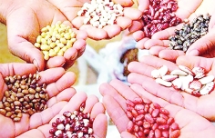 স্বাবলম্বিতায় সুখ ও সফলতা  