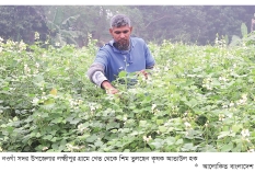 সরবরাহ বাড়ায় কমেছে সবজির দাম  