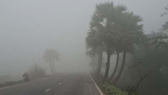 শৈত্যপ্রবাহের কবলে ১২ জেলা, জনজীবনে স্থবিরতা