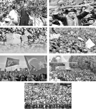 মুসলিম বিশ্বের আলোচিত নির্বাচন  