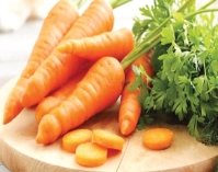 দেহের সুস্থতায় গাজর  