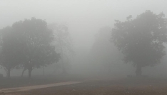 নওগাঁয় মৌসুমের সর্বনিম্ন তাপমাত্রা নামলো ৬.৭ ডিগ্রিতে