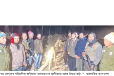 ইটভাটা থেকে ২০০০ ঘনফুট কাঠ জব্দ  