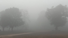 নওগাঁয় মৌসুমের সর্বনিম্ন তাপমাত্রা নামলো ৬.৭ ডিগ্রিতে