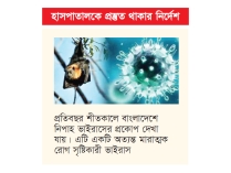 ৩৫ জেলায় ছড়িয়েছে নিপাহ ভাইরাস  