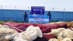 মেঘনা থেকে নিষিদ্ধ কারেন্টজালসহ বিভিন্ন জাল জব্দ