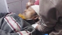 জীবননগরে পিকআপের ধাক্কায় নার্সারি ব্যবসায়ীর মৃত্যু