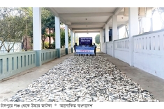 যাত্রীবাহী লঞ্চ থেকে সাত টন জাটকা জব্দ  