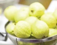 পেয়ারা খাওয়ার উপকারিতা  