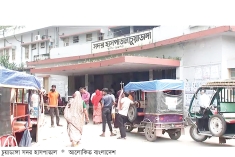 চুয়াডাঙ্গায় জলাতঙ্কের ভ্যাকসিন সংকট  