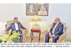 তারেক রহমানের সঙ্গে সাক্ষাৎ পাকিস্তানের হাইকমিশনারের  