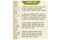 ভোটের কিংমেকার প্রবাসীরা  