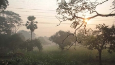 সামান্য কমতে পারে ঢাকার তাপমাত্রা