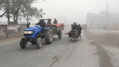 মাঝারি শৈত্যপ্রবাহে বিপর্যস্ত পঞ্চগড়, তাপমাত্রা ৭.৭ ডিগ্রি