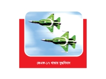 পাকিস্তানের যুদ্ধবিমান কিনতে আগ্রহী ইরাক  