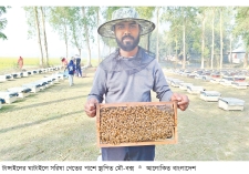 সরিষা ফুলের মধু সংগ্রহে বদলে যাচ্ছে গ্রামীণ অর্থনীতি  