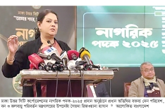 সত্যি সংস্কার চাইলে গণভোটে হ্যাঁ বলতে হবে  