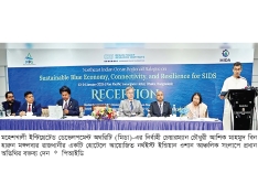 ভবিষ্যৎ অর্থনীতির শক্ত ভিত্তি গড়ছে সরকার : মিডা চেয়ারম্যান  