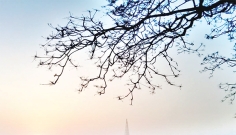 প্রকৃতির বেলা-অবেলা  