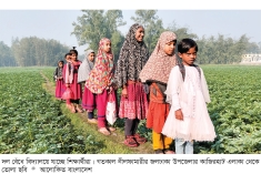 স্কুল ফিডিং চালু হওয়ায় বেড়েছে শিক্ষার্থী উপস্থিতি  