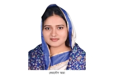 বাঞ্ছারামপুর উপজেলা নির্বাহী কর্মকর্তার মৃত্যু  