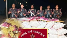 বিজিবির অভিযানে ভারতীয় কসমেটিকস ও গাঁজা জব্দ