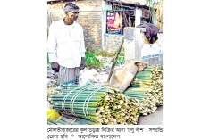 বিলুপ্তির পথে চুঙ্গা পিঠার উপকরণ ‘ঢলু বাঁশ’  