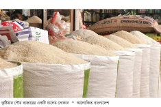 কুষ্টিয়ায় সব ধরনের চালের দাম বেড়েছে  