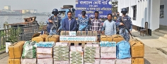 ভারতীয় কসমেটিক্সসহ দুই পাচারকারী আটক  