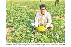 টেকনাফে আগাম তরমুজের ফলন ও দামে খুশি কৃষক  