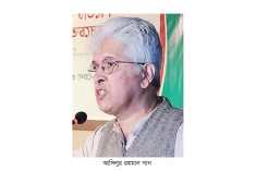 জনতার কাফেলা ‘হ্যাঁ’ ভোটের পক্ষে  