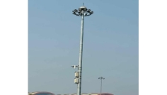 বেনাপোলে বিদ্যুৎস্পৃষ্টে অসংখ্য অতিথি পাখির মৃত্যু