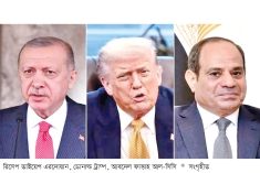 গাজায় ‘শান্তি পর্ষদে’ এরদোয়ান ও সিসিকে চান ট্রাম্প  