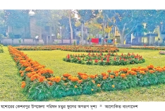 কেশবপুর উপজেলা পরিষদে ফুলের নান্দনিক দৃশ্য  