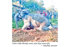 খাদে পড়ে থাকা হাতি ১৭ ঘণ্টা পর উদ্ধার  