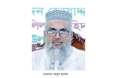 কুষ্টিয়ায় সমাবেশে বক্তব্য দেওয়ার সময় মারা গেলেন জেলা জামায়াতের আমির  