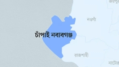 চাঁপাইনবাবগঞ্জে আমবাগান থেকে ৫ ককটেল উদ্ধার