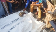 ভোলায় পৃথক সড়ক দুর্ঘটনায় নিহত ৪, আহত ১০