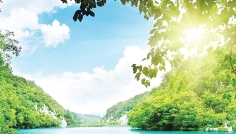 প্রাকৃতিক ভারসাম্য রক্ষায় ইসলাম