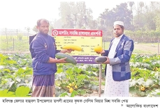 মিশ্র পদ্ধতিতে সবজি চাষে লাভবান কৃষক  