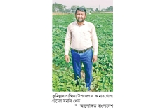 চান্দিনায় সবজি চাষে বিপ্লব  