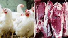 রমজান সামনে রেখে বাড়তে শুরু করেছে মুরগি ও মাংসের দাম