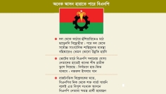 বিএনপির গলার কাঁটা স্বতন্ত্র প্রার্থীরা