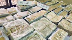 পাবনায় ৬০০ বছরের পুরোনো তালপাতায় লেখা পাণ্ডুলিপির প্রদর্শনী