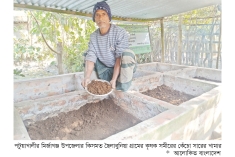 কেঁচো সার উৎপাদনে ফিরছে সচ্ছলতা  