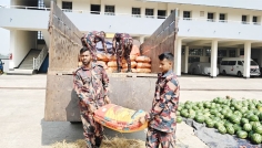 তরমুজের নিচে পাচারকালে ১৬ লাখ টাকার ভারতীয় জিরা জব্দ