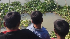 সিরাজগঞ্জে নিখোঁজের ৯ দিন পর শিশুর মরদেহ উদ্ধার