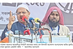 কেন্দ্র দখলে গেলে বঙ্গোপসাগরে নিক্ষেপ করা হবে : মুফতি রেজাউল করীম  