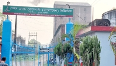 দর্শনার চিনিকল ফের লোকসানের শঙ্কা, ডিস্টিলারির মুনাফাই সম্বল